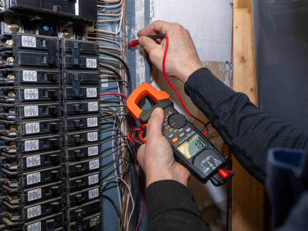 Best Local Electrician Companies  in Lipscom, AL